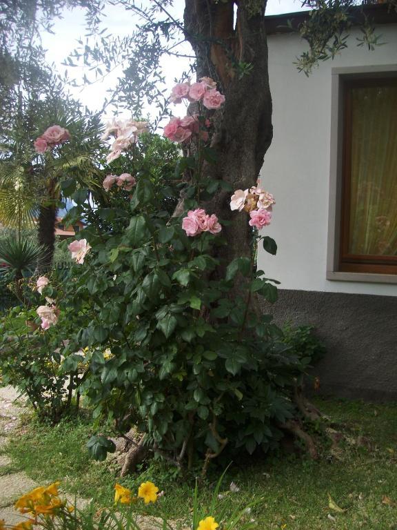 Hotel Garni Casa Rabagno Malcesine Exterior foto